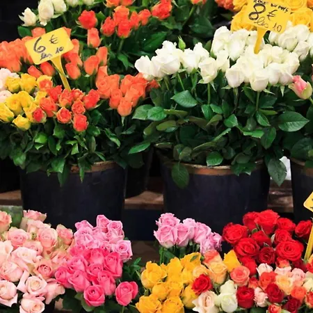 Διαμέρισμα Antares Pop Κάννες